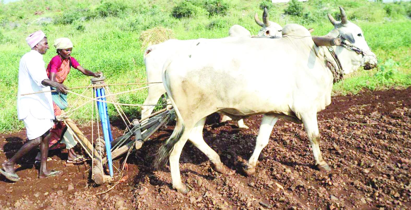 విత్తనం వేస్తున్న రైతు