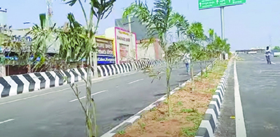  దర్పం