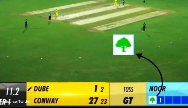 /500-plants-per-dot-ball-BCCI