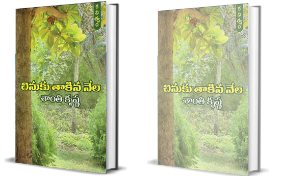 Akshara-Chinukula-Kavitva-Mala