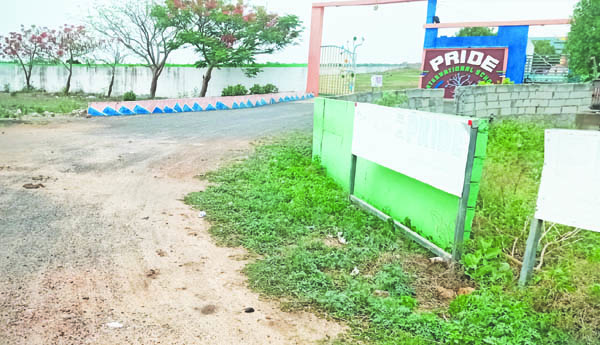 పన్నే లేని ఫ్రైడ్‌కు.. రూ.10 లక్షలతో పైపులైన్‌