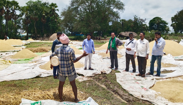 crop-damage-in-heavy-rains-kakinada
