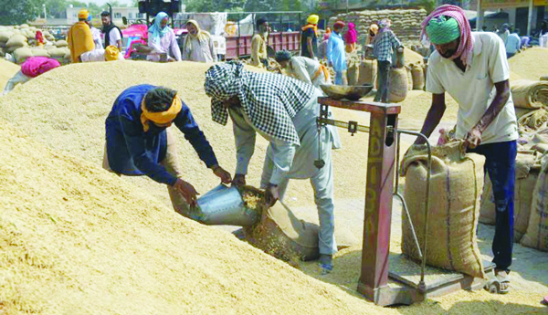 Six-kilos-per-quintal