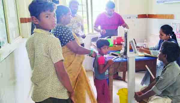 పిచ్చికుక్కల స్వైర విహారం
