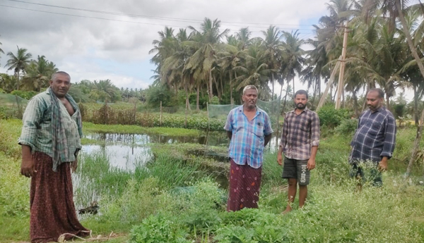 farmers-problems-in-tallarevu