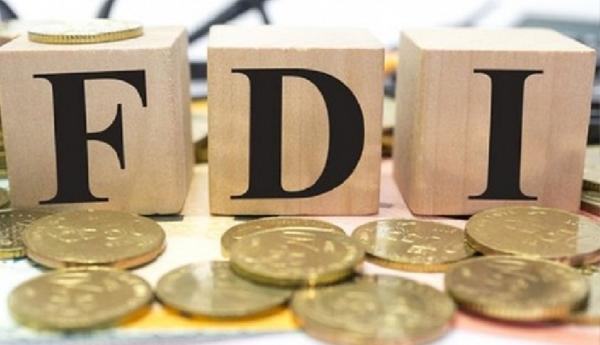 Reduced-FDIs-in-IT-sector