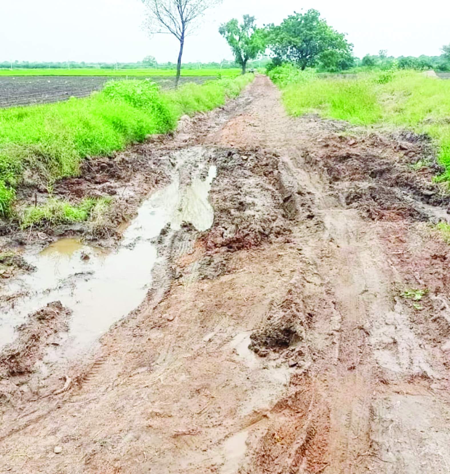 దెబ్బతిన్న రోడ్లు