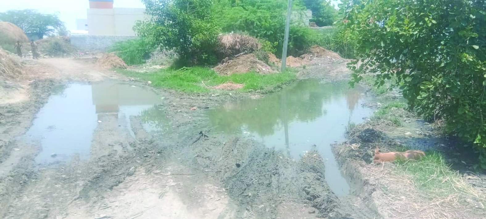 కాలనీలో నిలిచి ఉన్న మురుగు