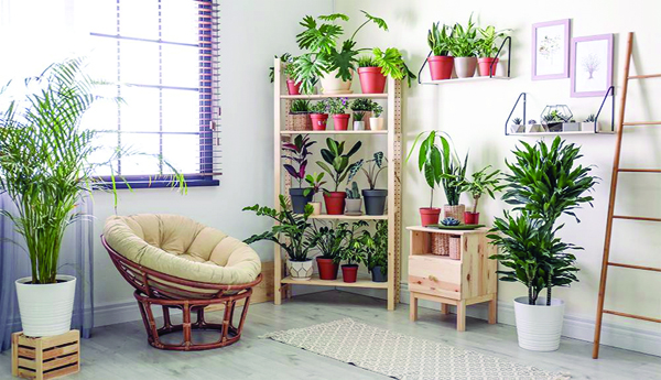 The-house-is-cool-even-in-the-sun