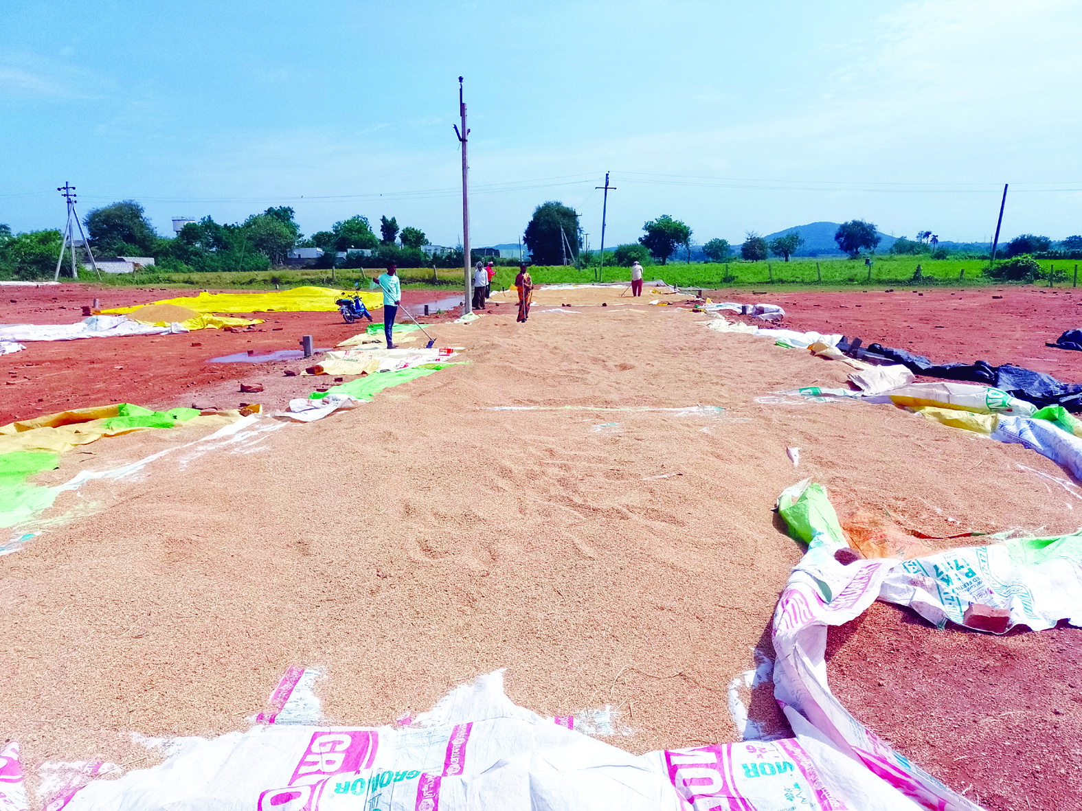 అకాల వర్షంతో రైతుల్లో ఆందోళన