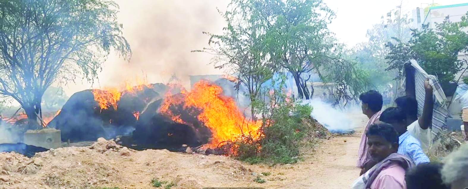 రౌడూరులో దగ్ధమైన గడ్డివాములు