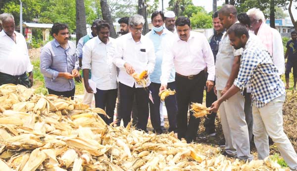 నష్టపోయిన రైతులను ఆదుకుంటాం