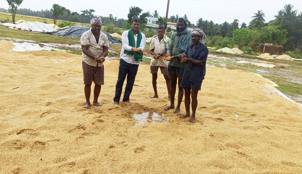 paddy-damage-in-kakinada