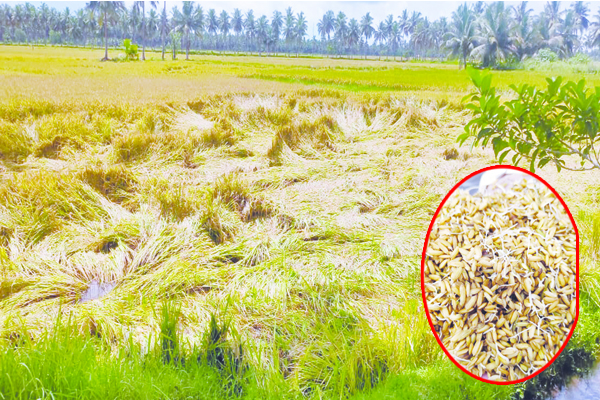 ఏ రైతును కదిలించినా కన్నీళ్లే..