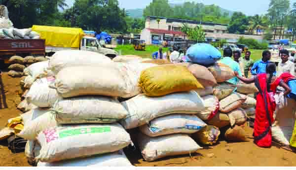 పసుపు ధరలు పతనం