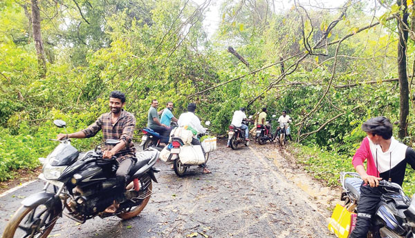 ఈదురుగాలులతో భారీ వర్షం