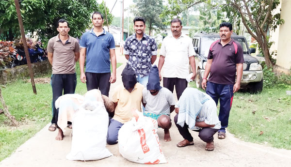 43 కేజీల గంజాయి స్వాధీనం