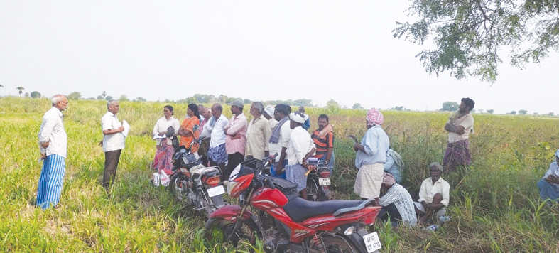 కూలీలతో మాట్లాడుతున్న ఈమని అప్పారావు