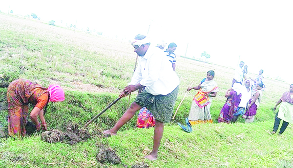 కూలీలకు కనీస వసతులు కరువే..