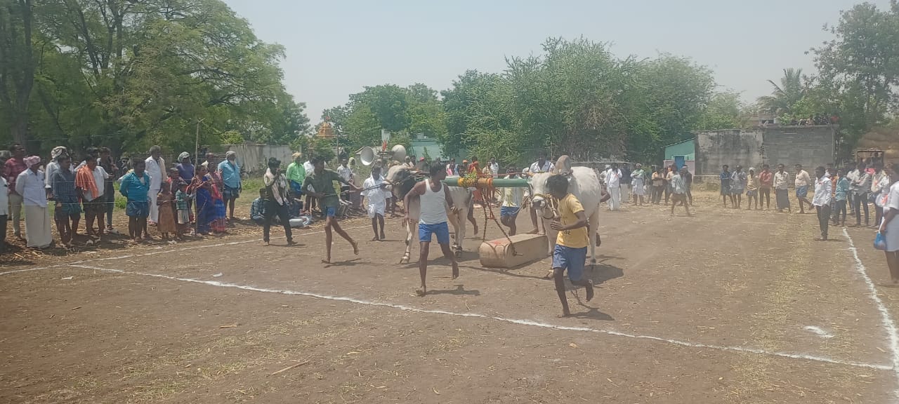 హోరాహోరీగా బండలాగుడు పోటీలు.