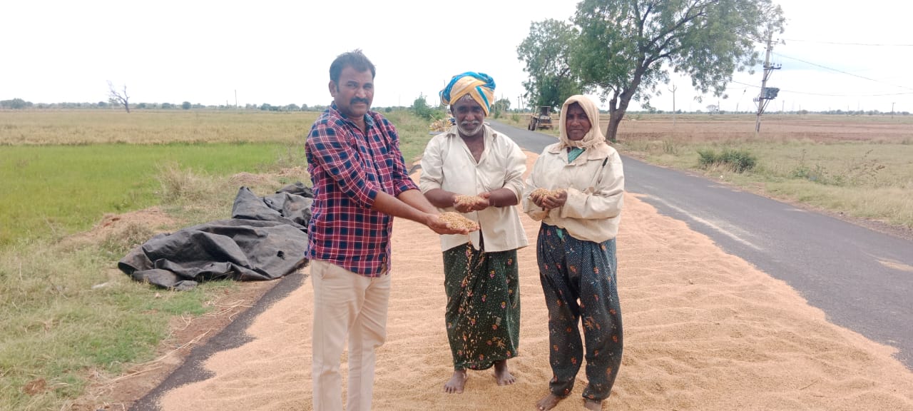 రుద్రవరం మండలంలో తడిసిపోయిన ధాన్యాన్ని పరిశీలిస్తున్న రైతు సంఘం నాయకులు టి.రామచంద్రుడు 