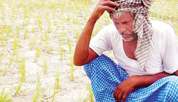 Tenant-farmer-lack-of-assurance