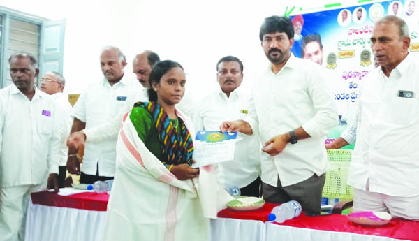 వాలంటీర్లతో ఇళ్ల వద్దకే పథకాలు: బాచిన