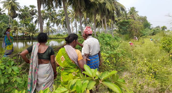 అక్రమార్కులు పెట్రేగుతున్నారు..!