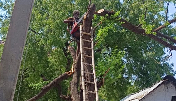 working-for-new-transformer