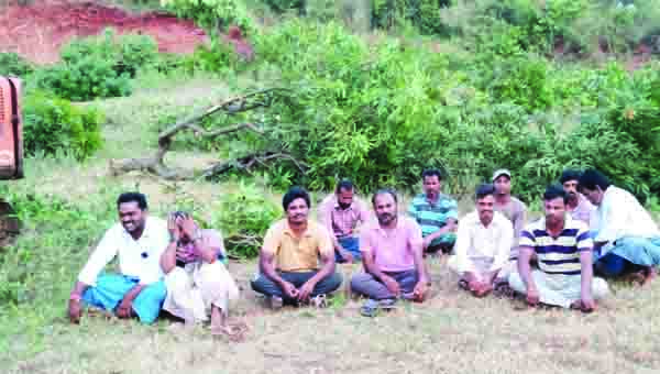 టౌన్‌షిప్‌ పేరిట మామిడి తోట తొలగింపు