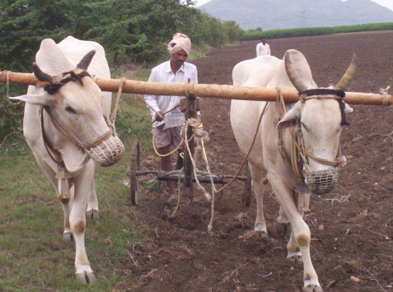 ఖరీఫ్‌ సాగుకు ఆచితూచి