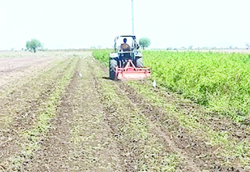 భూసార పరిరక్షణపై రైతుల దృష్టి