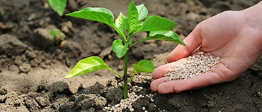 బయోలతో భయోత్పాతం