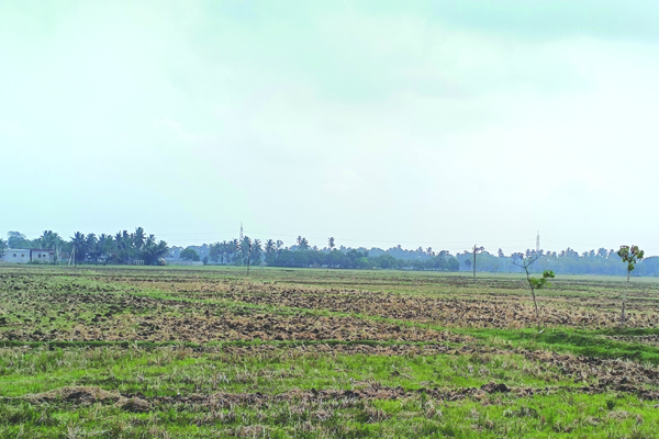 ప్రతికూలంగా ఖరీఫ్‌ సాగు