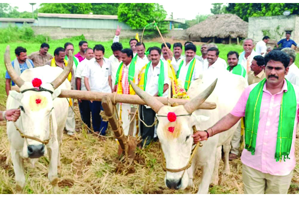 టిడిపి ఆధ్వర్యాన ఏరువాక ప్రారంభం