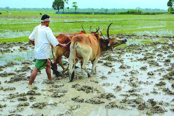 ఏరువాకపై రైతన్న ఆశలు