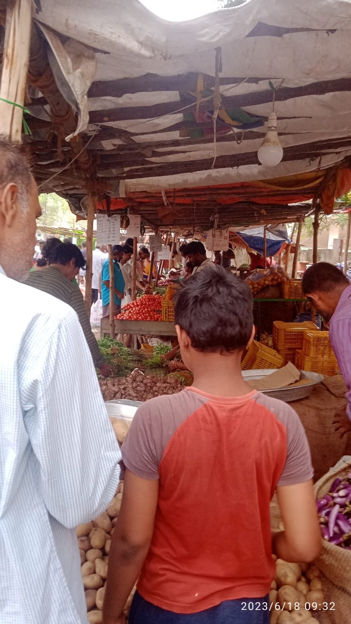 కొండెక్కిన కూరగాయలు