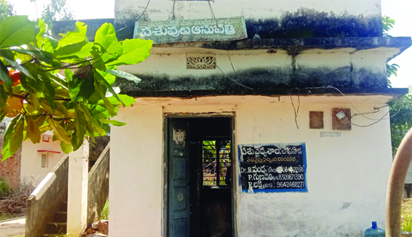 ఆసుపత్రి ఉన్నా అందని పశువైద్యం