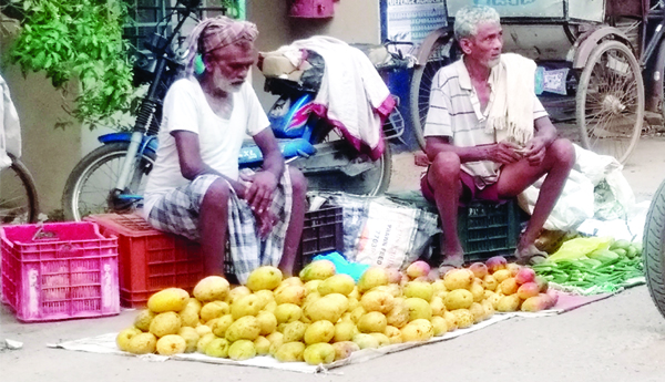 మామిడి రైతు దిగాలు