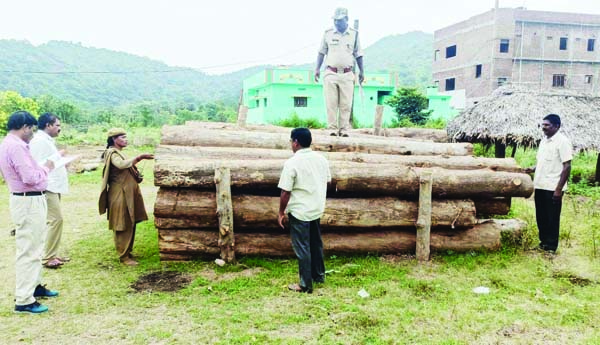 అక్రమంగా కలపను భద్రపరిస్తే చర్యలు