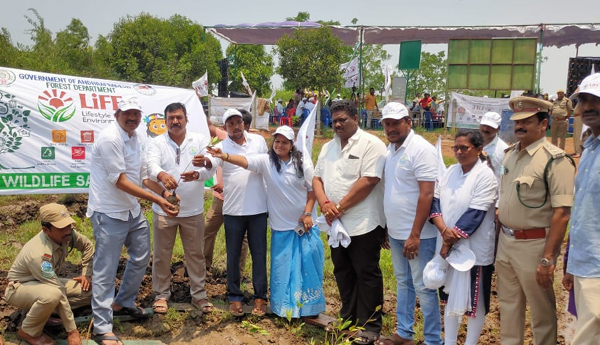 environment-day-in-tallarevu