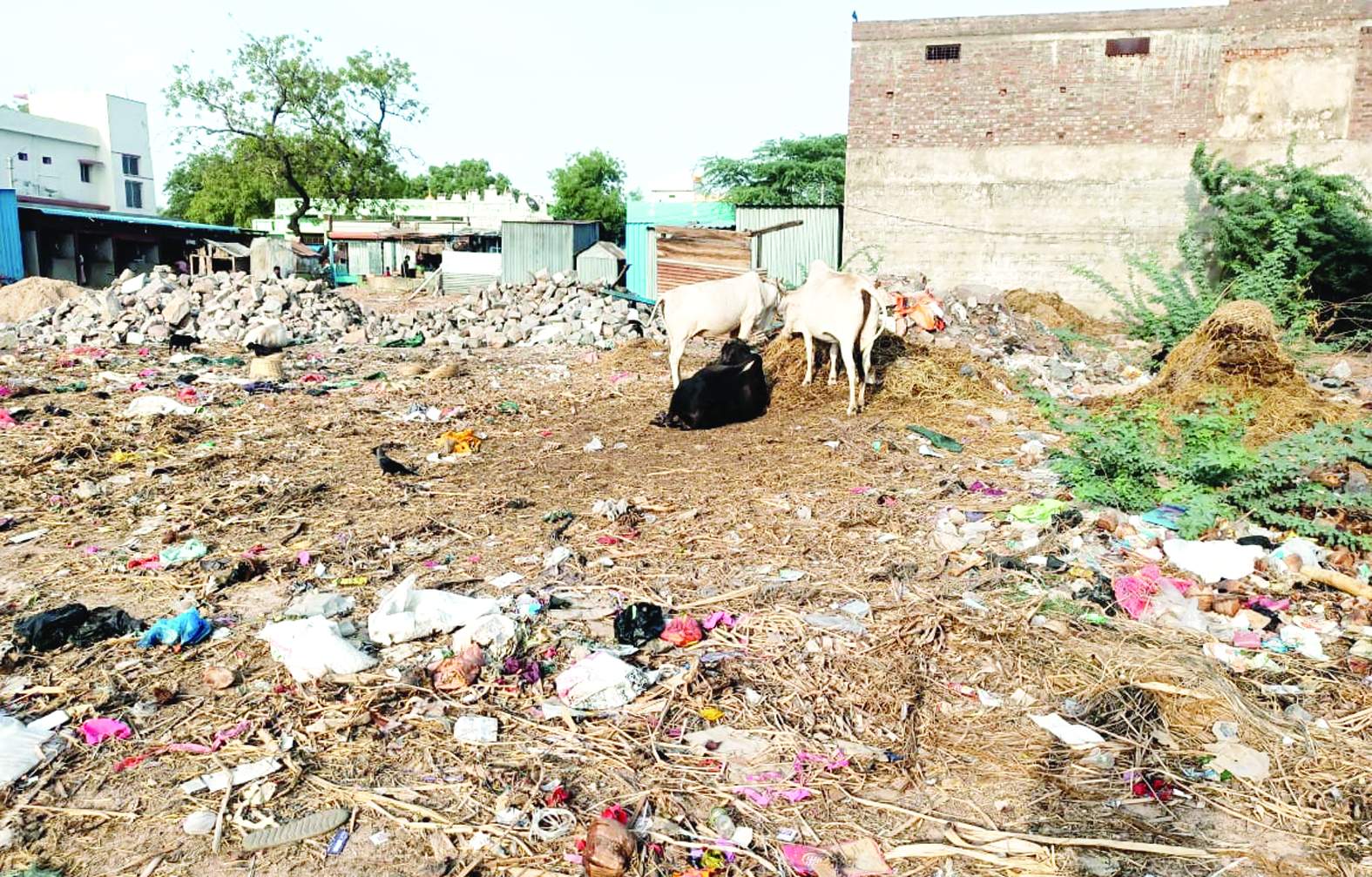 పేరుకుపోయిన చెత్తాచెదారం