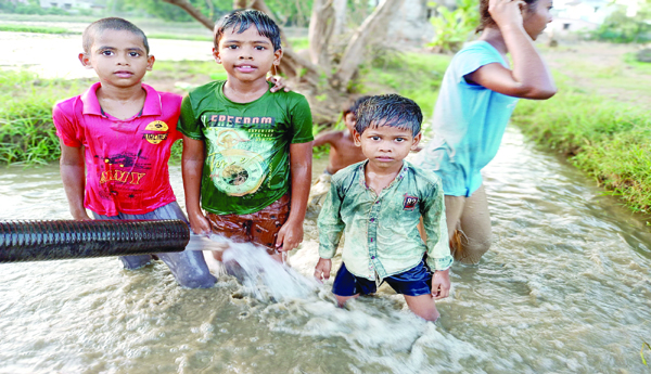 Fun-in-the-crop-fields