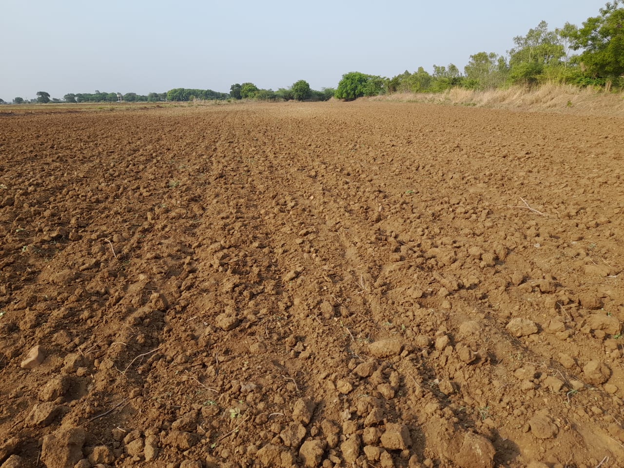 విత్తనాలు వేసేందుకు సిద్ధం చేసిన పొలం