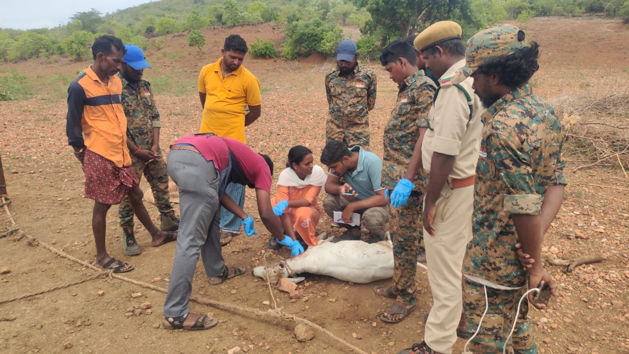పరిసర ప్రాంతాలను పరిశీలిస్తున్న అధికారులు