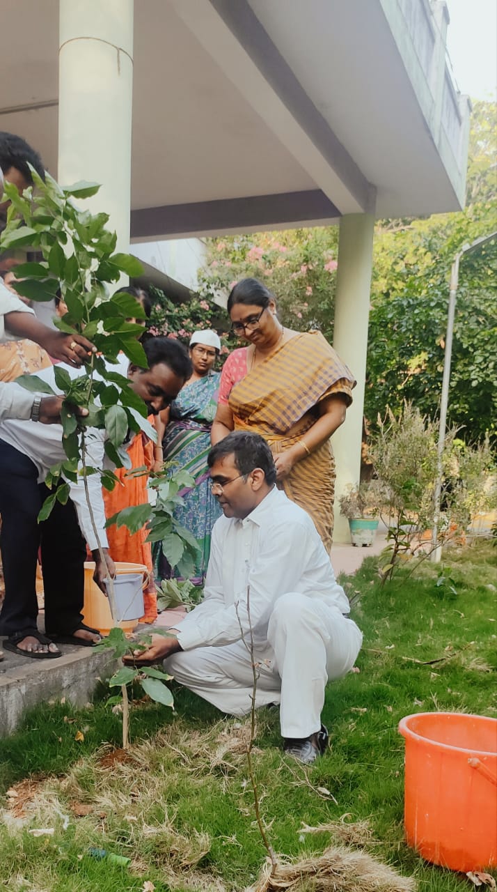 డిఎల్‌ఎస్‌ఎ ఆధ్వర్యంలో ప్రపంచ పర్యావరణ దినోత్సవం