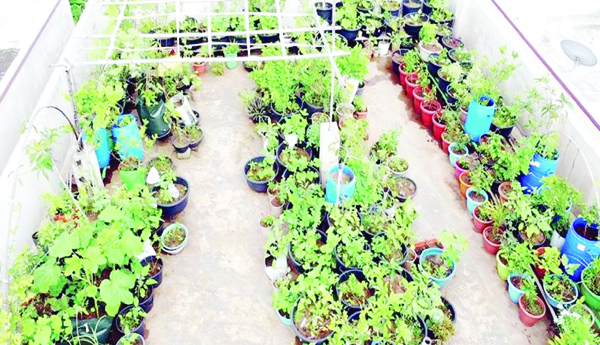 This-is-the-same-for-cultivation-on-sugarcane