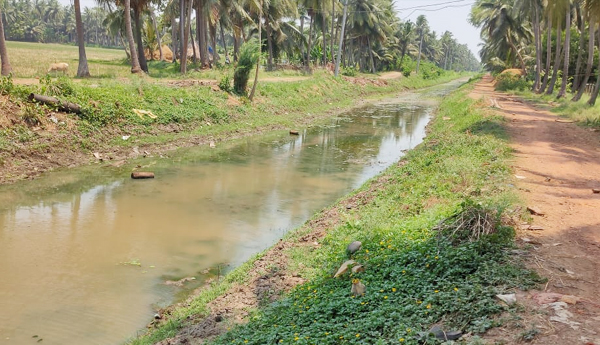 no-works-on-irrigation-chanal