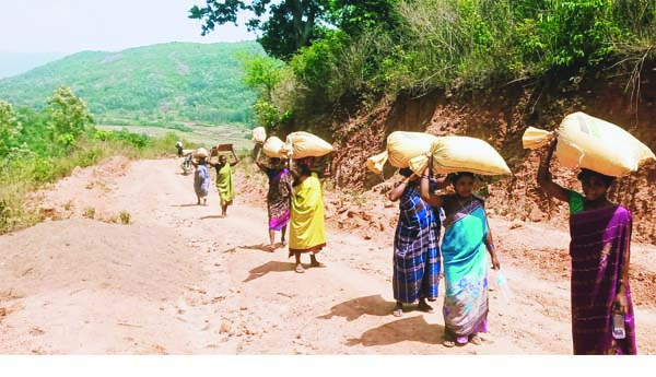 గిరిజనులకు రేషన్‌ కష్టాలు