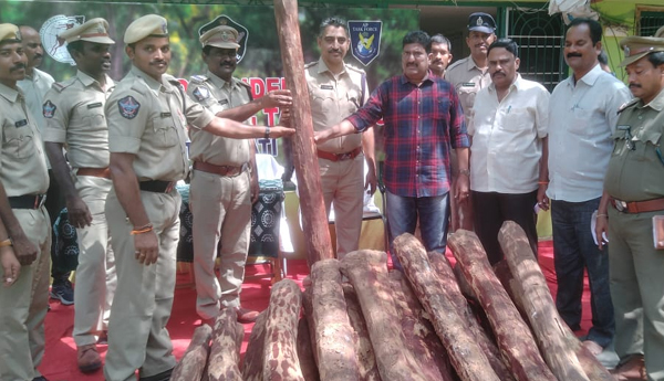 red-sand-smuggling-in-tirupati